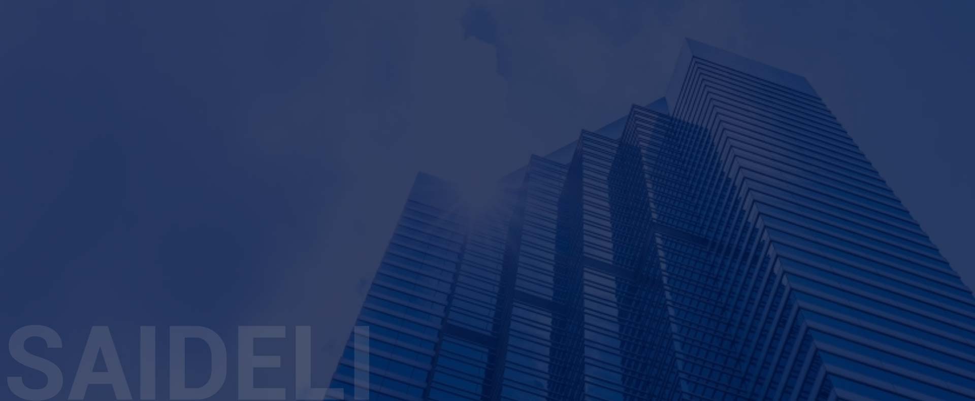 접촉 SAIDELI 원심 분리기 제조 업체